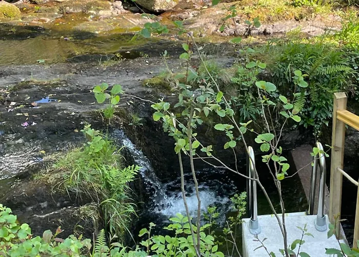 Thejewel & Apartamento